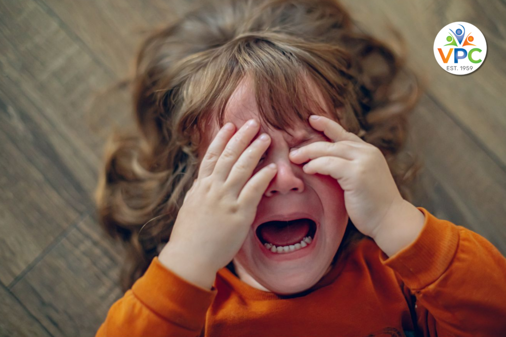 TANTRUMS AND MELTDOWN, A BAD BEHAVIOUR OR A CRY FOR UNDERSTANDING - Blog pic